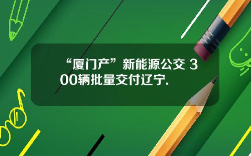 “厦门产”新能源公交 300辆批量交付辽宁.