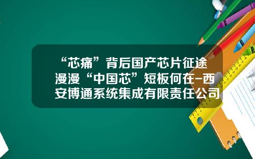 “芯痛”背后国产芯片征途漫漫“中国芯”短板何在-西安博通系统集成有限责任公司