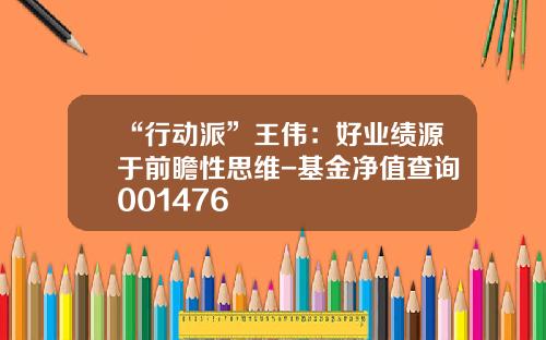 “行动派”王伟：好业绩源于前瞻性思维-基金净值查询001476