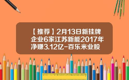 【推荐】2月13日新挂牌企业6家江苏新能2017年净赚3.12亿-百乐米业股份有限公司