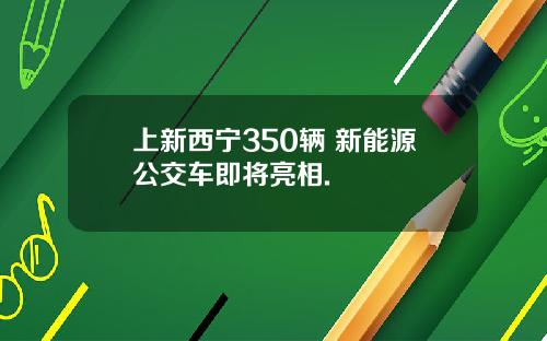 上新西宁350辆 新能源公交车即将亮相.