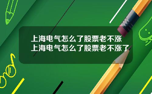 上海电气怎么了股票老不涨上海电气怎么了股票老不涨了