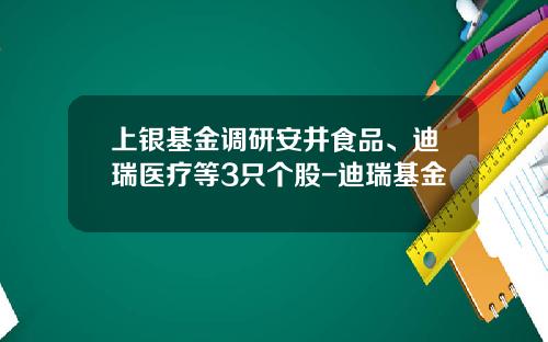 上银基金调研安井食品、迪瑞医疗等3只个股-迪瑞基金