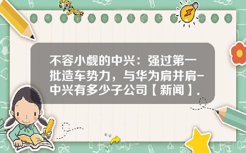 不容小觑的中兴：强过第一批造车势力，与华为肩并肩-中兴有多少子公司【新闻】.