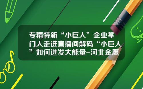 专精特新“小巨人”企业掌门人走进直播间解码“小巨人”如何迸发大能量-河北金鹰食品有限公司