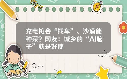 充电桩会“找车”、沙漠能种菜？网友：城乡的“AI脑子”就是好使