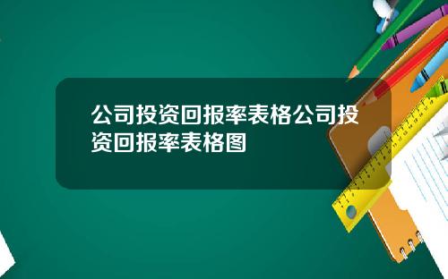 公司投资回报率表格公司投资回报率表格图