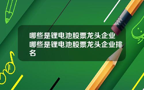 哪些是锂电池股票龙头企业哪些是锂电池股票龙头企业排名