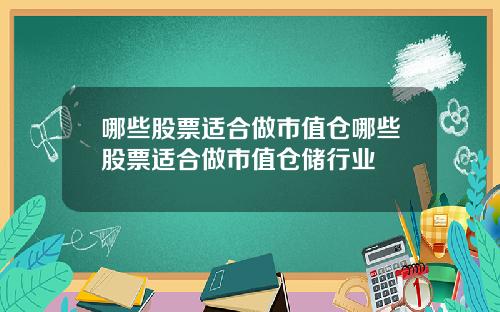 哪些股票适合做市值仓哪些股票适合做市值仓储行业