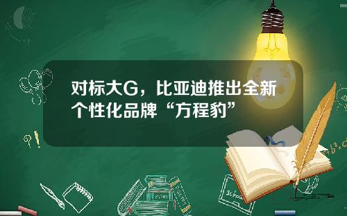 对标大G，比亚迪推出全新个性化品牌“方程豹”