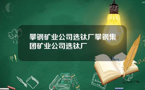 攀钢矿业公司选钛厂攀钢集团矿业公司选钛厂