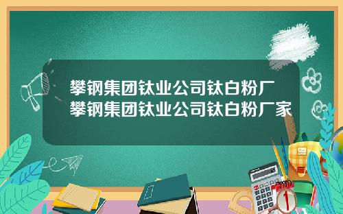 攀钢集团钛业公司钛白粉厂攀钢集团钛业公司钛白粉厂家
