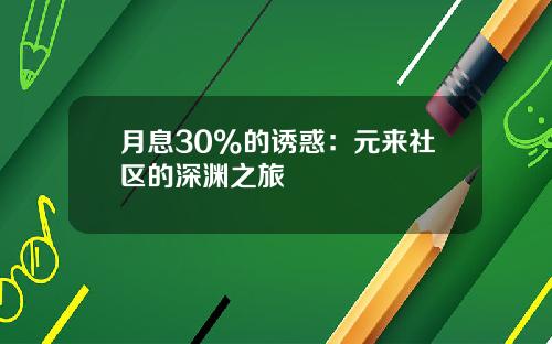 月息30%的诱惑：元来社区的深渊之旅
