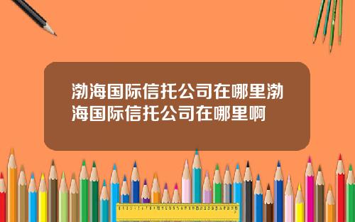 渤海国际信托公司在哪里渤海国际信托公司在哪里啊