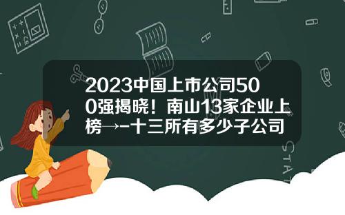 2023中国上市公司500强揭晓！南山13家企业上榜→-十三所有多少子公司
