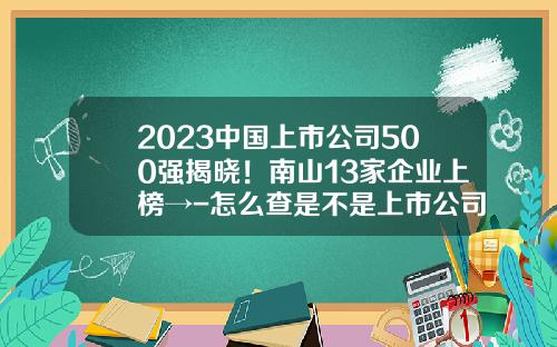 2023中国上市公司500强揭晓！南山13家企业上榜→-怎么查是不是上市公司