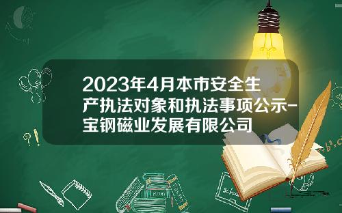 2023年4月本市安全生产执法对象和执法事项公示-宝钢磁业发展有限公司
