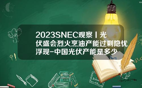 2023SNEC观察丨光伏盛会烈火烹油产能过剩隐忧浮现-中国光伏产能是多少