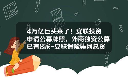 4万亿巨头来了！安联投资申请公募牌照，外商独资公募已有8家-安联保险集团总资产是多少