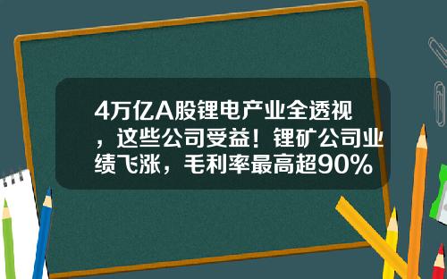 4万亿A股锂电产业全透视，这些公司受益！锂矿公司业绩飞涨，毛利率最高超90%，“宁王”毛利率下滑-上市公司锂储量最大