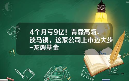 4个月亏9亿！背靠高瓴、淡马锡，这家公司上市迈大步-龙磐基金