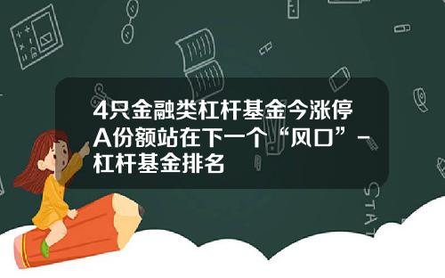 4只金融类杠杆基金今涨停A份额站在下一个“风口”-杠杆基金排名
