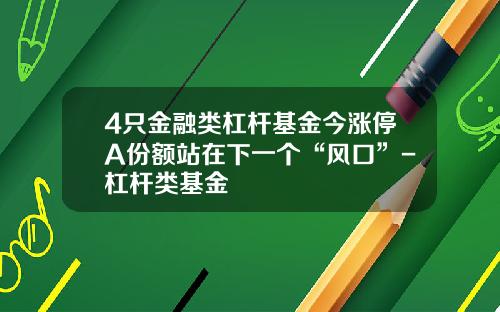 4只金融类杠杆基金今涨停A份额站在下一个“风口”-杠杆类基金