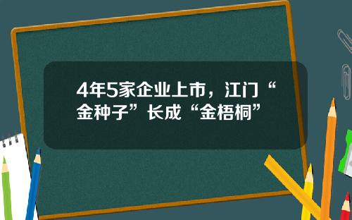 4年5家企业上市，江门“金种子”长成“金梧桐”