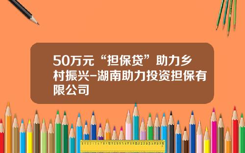 50万元“担保贷”助力乡村振兴-湖南助力投资担保有限公司