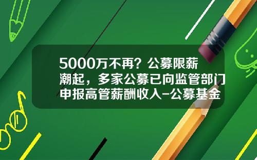 5000万不再？公募限薪潮起，多家公募已向监管部门申报高管薪酬收入-公募基金待遇