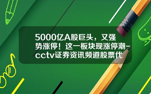 5000亿A股巨头，又强势涨停！这一板块现涨停潮-cctv证券资讯频道股票代码