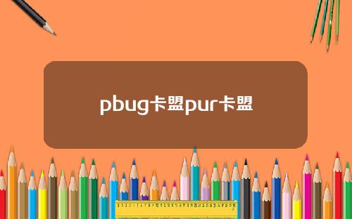 pbug卡盟pur卡盟