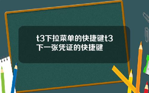 t3下拉菜单的快捷键t3下一张凭证的快捷键