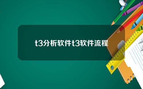 t3分析软件t3软件流程