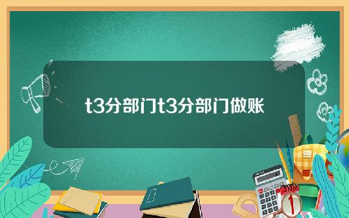 t3分部门t3分部门做账