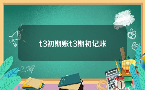 t3初期账t3期初记账