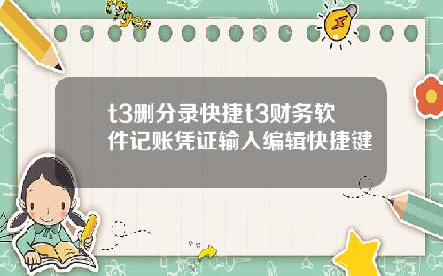 t3删分录快捷t3财务软件记账凭证输入编辑快捷键