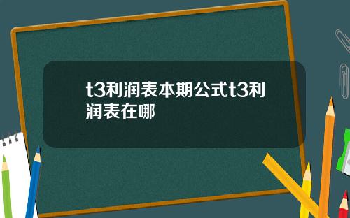 t3利润表本期公式t3利润表在哪