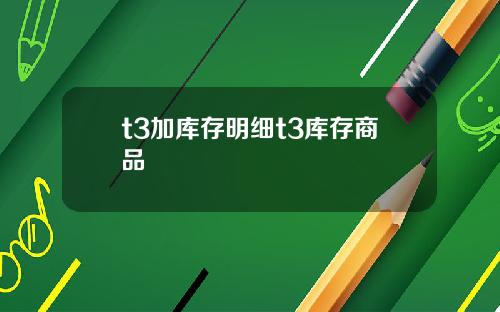 t3加库存明细t3库存商品