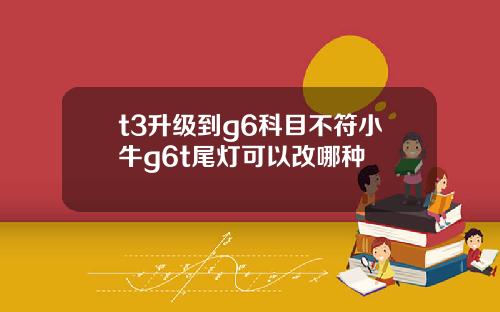 t3升级到g6科目不符小牛g6t尾灯可以改哪种