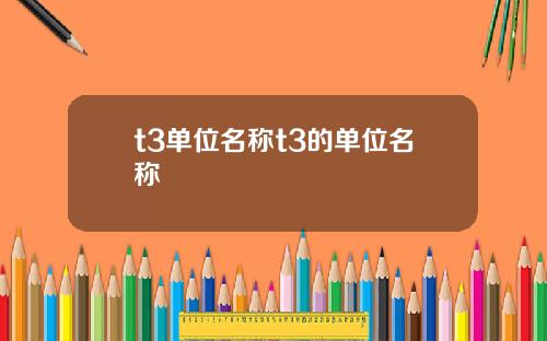 t3单位名称t3的单位名称