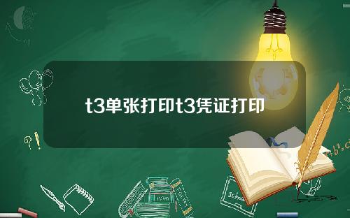 t3单张打印t3凭证打印