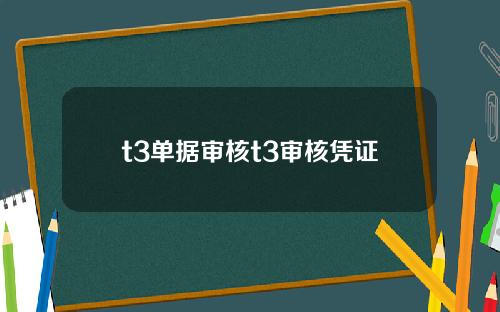 t3单据审核t3审核凭证