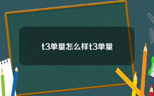 t3单量怎么样t3单量