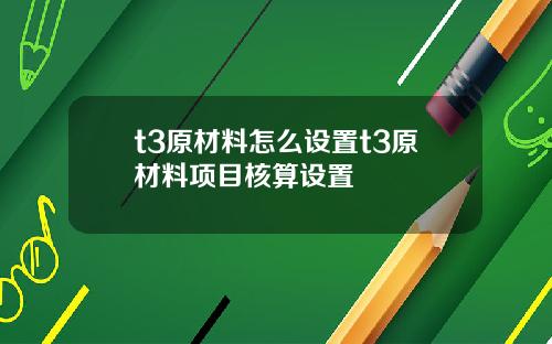 t3原材料怎么设置t3原材料项目核算设置