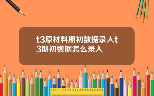 t3原材料期初数据录入t3期初数据怎么录入