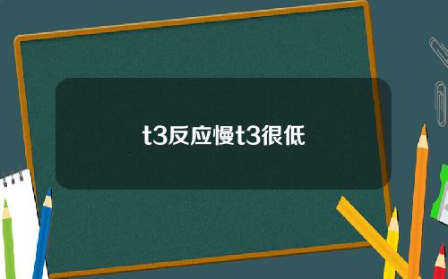 t3反应慢t3很低