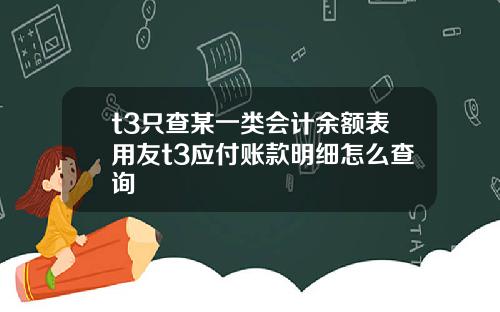 t3只查某一类会计余额表用友t3应付账款明细怎么查询