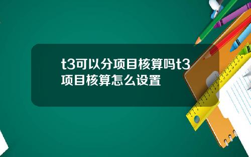 t3可以分项目核算吗t3项目核算怎么设置