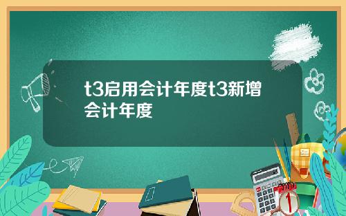 t3启用会计年度t3新增会计年度